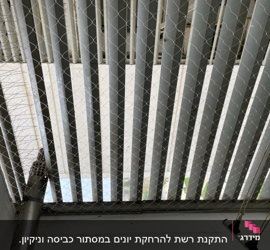 רשת מתכת מותקנת למניעת כניסת יונים